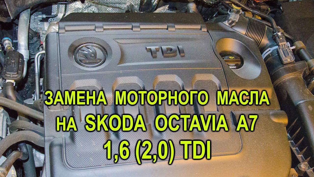 Замена моторного масла на дизельной Skoda Octavia A7  1,6 (2,0) TDI.
