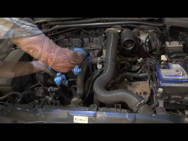 Peugeot 406 Starter Replacement