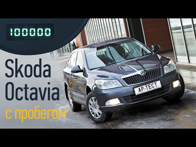 Skoda Octavia б/у: на что обратить внимание при покупке?