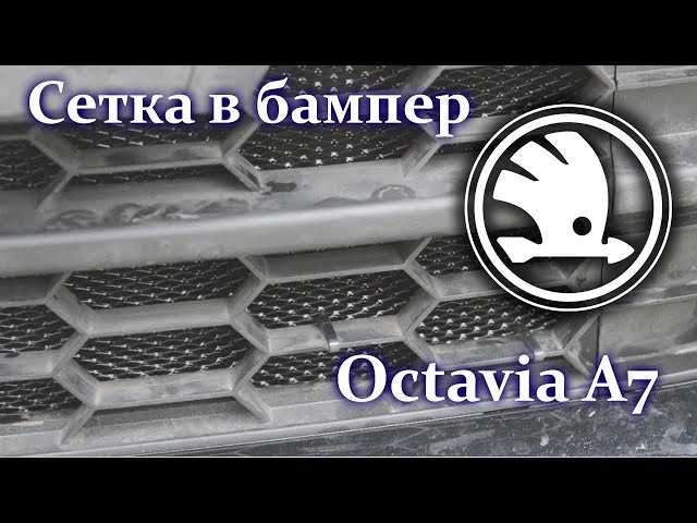 Сетка в бампер Skoda Octavia A7. Защита от камней и не только.