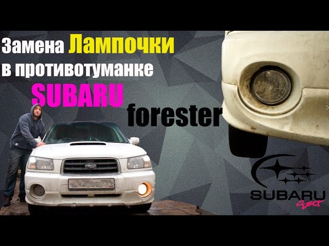 Меняем лампочку в ПТФ Subaru Forester SG